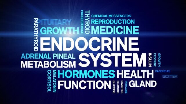 Endocrine System animated word cloud-animation tag kinetic typography seamless loop.