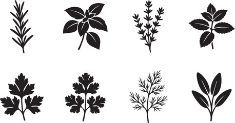 Obraz premium Culinary herbs and aromatic cooking spices black silhouettes collection featuring rosemary basil parsley thyme and mint concepts