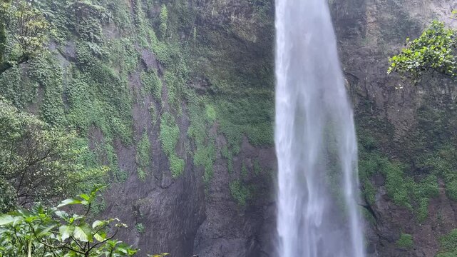 shot of a tall tropical waterfall cascading down a mossy cliff surrounded by dense green rainforest vegetation in West Java, Indonesia. Water flows continuously with natural motion blur. Peaceful natu