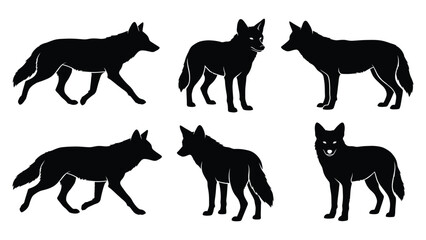Obraz premium Coyote silhouette collection in various standing and walking poses isolated on a white background for wildlife animal study layouts.