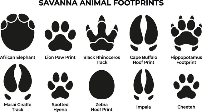 African Savanna Animal Footprint Silhouette Vector Icon Set Featuring Elephant Lion Rhino Hippo Giraffe Zebra and Cheetah Tracks for Safari Wildlife Designs