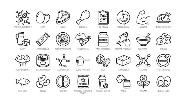 Outline vector icons illustrating protein rich food sources nutrition diet plan and fitness concepts for a healthy lifestyle