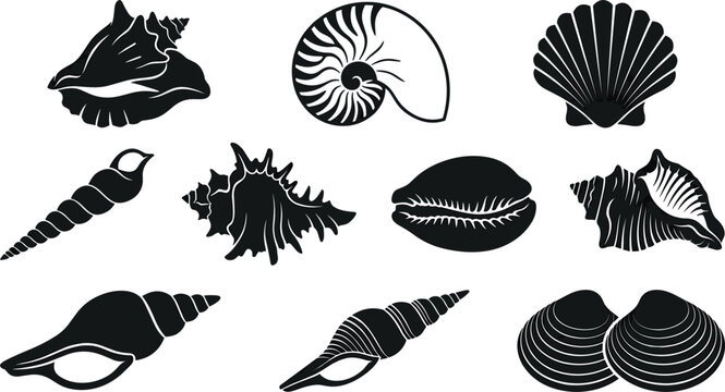 Ocean Seashell and Marine Mollusk Silhouette Vector Icon Set Featuring Nautilus Scallop Cowrie Clam and Spiral Shell Graphics for Coastal Designs