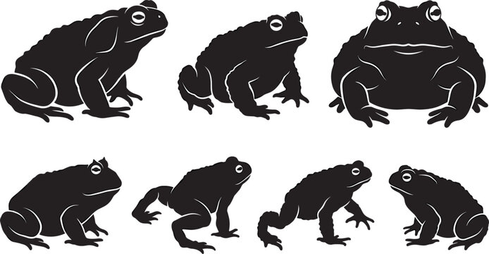 Toad and Frog Silhouette Vector Icon Set Featuring Warty Amphibians Sitting and Crawling Poses for Wildlife Biology Designs