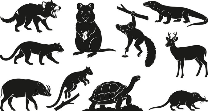 Unique Island Endemic Wildlife and Exotic Mammal Silhouette Vector Icon Set Featuring Quokka Tasmanian Devil Komodo Dragon Tortoise Biology Designs