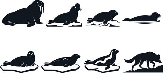 Arctic Pinniped and Seal Silhouette Vector Icon Set Featuring Walrus Sea Lion Ice Floes and Wolf for Polar Marine Biology Graphic Designs © Ruhul