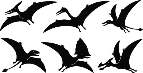 Pterodactyl and Flying Dinosaur Silhouette Vector Icon Set Featuring Prehistoric Pterosaur Reptiles for Paleontology and Ancient Wildlife History Designs © Ruhul