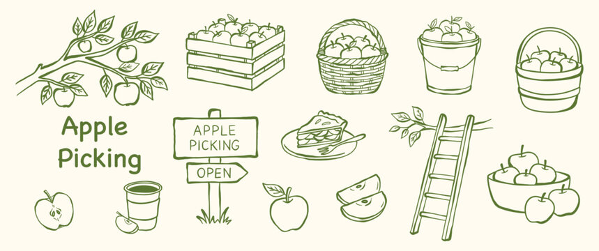 Set of apple picking line icons including tree branch basket crate ladder pie slice and signpost for autumn harvest festival marketing and farm market graphics