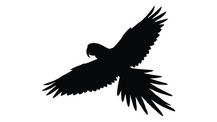 Fototapeta premium Parrot silhouette flying with wings spread captured in a minimalist style against a white background for editorial wildlife design.