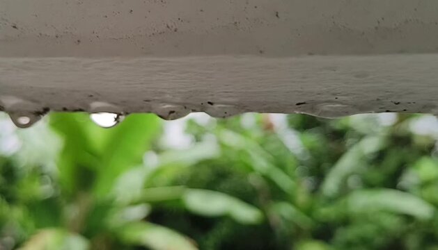 Extreme closeup of monsoon season rain water drops falling from house parapet or roof ceiling surface. Rainwater leak or atmosphere humidity damage building concept.