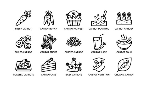 Carrot icons showing varieties and food uses in grid layout