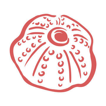 Sea Urchin Shell Illustration