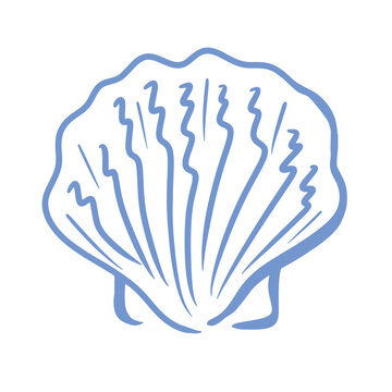 Scallop Shell Line Art Illustration
