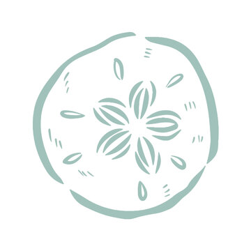 Sand Dollar Sea Shell Illustration