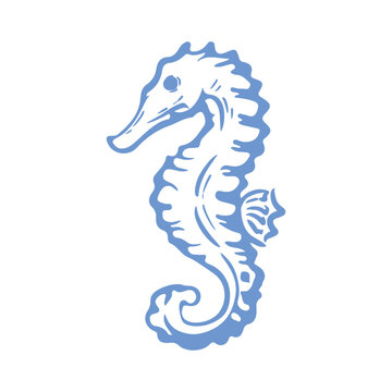 Seahorse Marine Animal Illustration