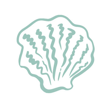 Seashell Line Art Illustration