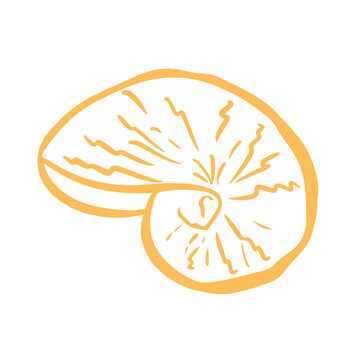 Nautilus Shell Outline Illustration