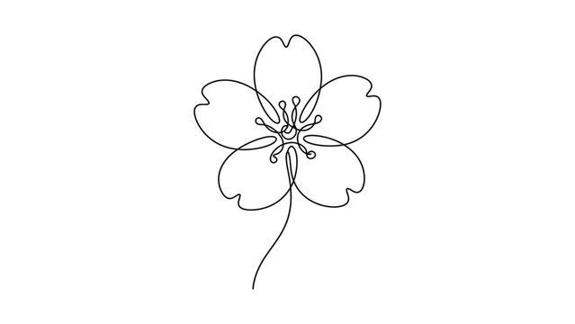 Minimalist continuous line art of a single cherry blossom flower.