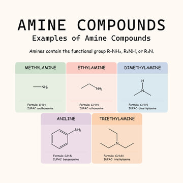 Educational infographic set of amine compounds including methylamine, ethylamine, dimethylamine, aniline, and triethylamine. Features molecular structures, formulas, and IUPAC names for chemistry educ