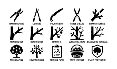 Fototapeta premium Tree pruning and orchard care icons showing tools and operations