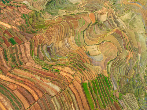 Aerial view of terraced rice paddies with varying shades of green and brown soil, showcasing intricate agricultural patterns on the hillsides of Antananarivo, Analamanga, Madagascar.