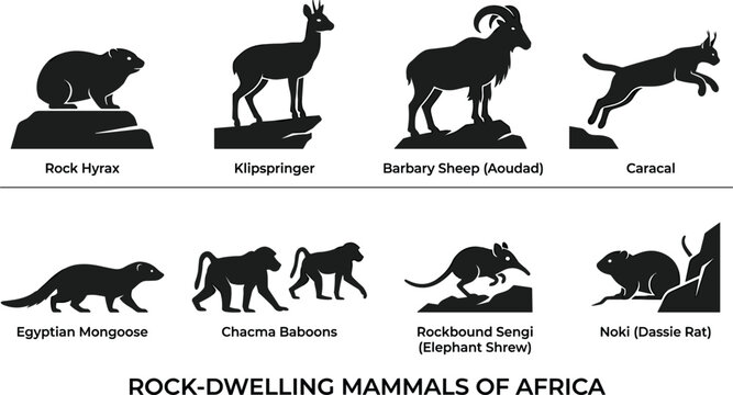 Rock Dwelling African Mammal Silhouette Vector Set with Hyrax, Klipspringer, Barbary Sheep, and Caracal Icons for Nature Graphic Designs