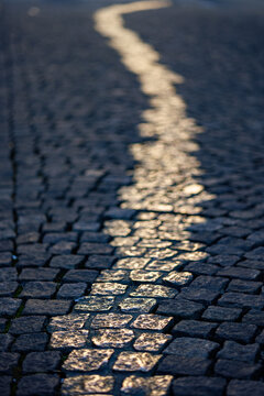 road in the street near Odeonsplatz (Viscardigasse).
Bronze/gold coloured cobble stones along this street are a memorial to those who resisted the Nazi Regime