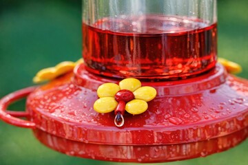 Naklejka premium A vibrant red hummingbird feeder surrounded by a bright yellow flower, perfect for garden or nature scenes