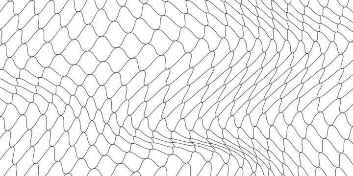 Fishing or soccer net. Repeated hexagon pattern. Black wired mesh texture isolated on white background.