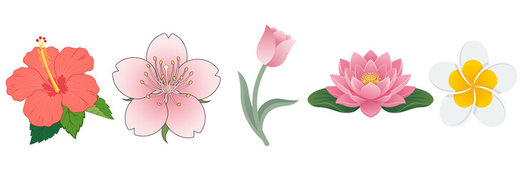 Collection of beautiful spring and tropical blooming flowers, including red hibiscus, pink sakura, tulip, pink lotus, and white plumeria vector illustration isolated for botanical and floral design el © MdAlAminislam