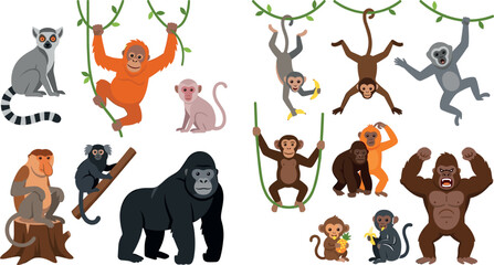 Cute Primate and Wild Monkey Character Vector Icon Set with Gorilla, Orangutan, Lemur, and Chimpanzee for Jungle Animal Wildlife Design Assets © Rtazmina