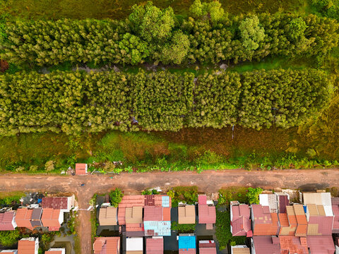 Aerial view of a residential neighborhood with colorful rooftops adjacent to a dense line of lush green trees in Barito Kuala Regency, South Kalimantan, Indonesia.