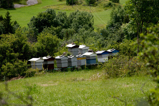 296 gresse en vercors