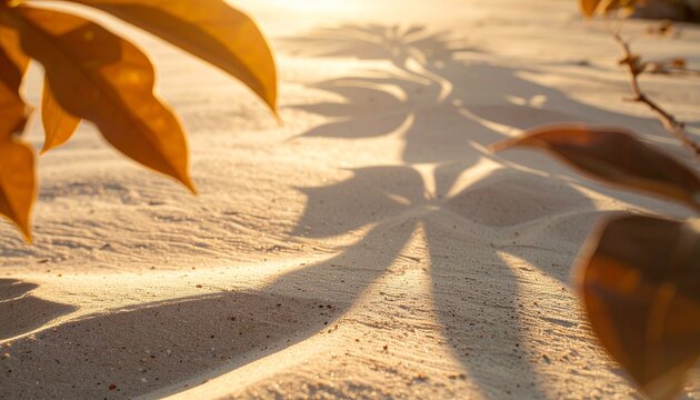 A high-definition, realistic photograph featuring the detailed, overlapping shadows of intricate natural foliage cast against a textured, off-white plaster wall. Created by the warm, intense sunlight 