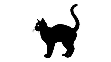Black Cat Silhouette: A sleek, mysterious black cat stands in silhouette, its form defined against a stark, simple background, embodying an air of feline elegance and independent spirit. © Md