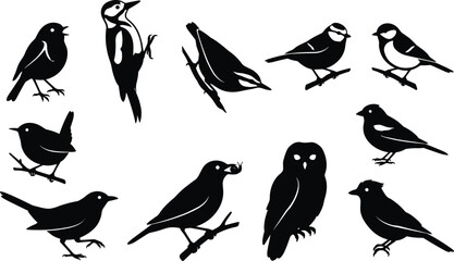 Collection of Garden Bird Silhouettes Featuring Perched Songbirds Woodpecker Owl and Forest Wildlife Vector Illustration Set © Moniruzzaman