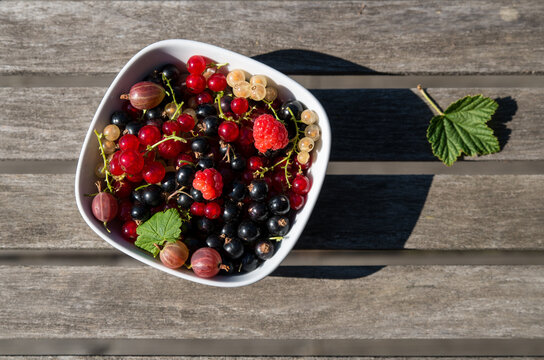 Mix of fresh tasty berries in a quadrangular white dish on a wooden table, a leaf in it, other leaf on table, shadow on the right, dish on the left
