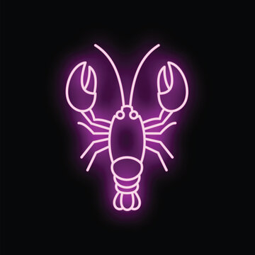 Lobster outline sign glowing with purple light on black background