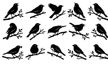 Fototapeta premium Song Bird Silhouettes on Tree Branches Vector Collection for Nature Design