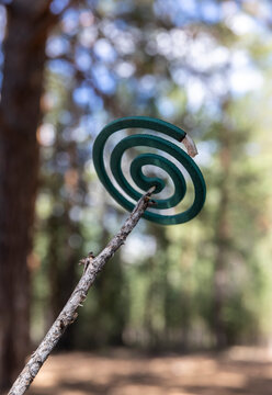smoldering coil for repelling insects and mosquitoes outdoors
