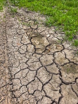 Cracked Dry Soil with Grass Edge Showing Drought and Climate Change Effects