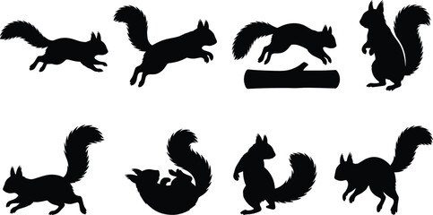 Fototapeta premium Squirrel Silhouette Collection with Running, Jumping and Standing Woodland Animal Poses