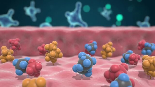 4K CGI Animation Of Neurotransmitter Receptors Activating On A Postsynaptic Membrane With Colorful Molecular Structures Depicting Cellular Interaction And Neurobiology Concept