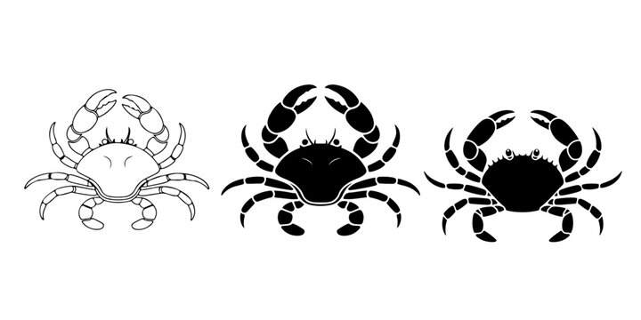 Crab icon collection in solid and outline styles isolated on white background, marine crustacean seafood animal symbols, simple coastal wildlife vector