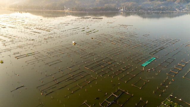 Aerial view of fish farming cages floating on the calm surface of a lake with distant shoreline and lush vegetation in Indonesia.