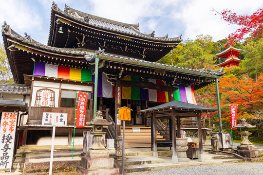 日本の風景・秋　京都　紅葉の今熊野観音寺　本堂