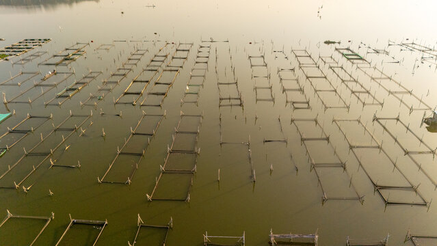 Aerial view of aquaculture fish farming cages arranged in a grid pattern on the calm water surface in Indonesia.