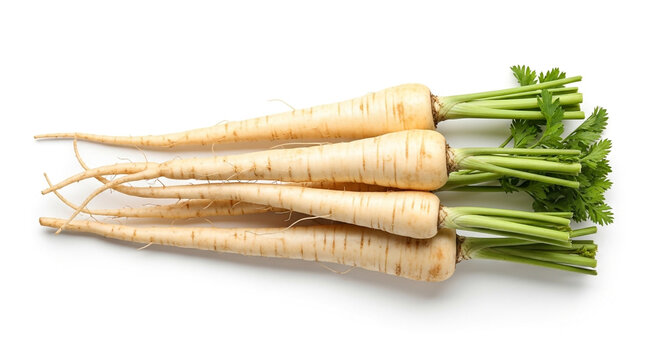 Fresh white parsnips with green tops