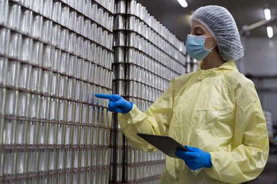 Canned seafood industry. Canned fish factory. Worker inspecting quality of cans at production line of seafood processing