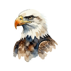 Obraz premium Watercolor illustration of a USA bald eagle